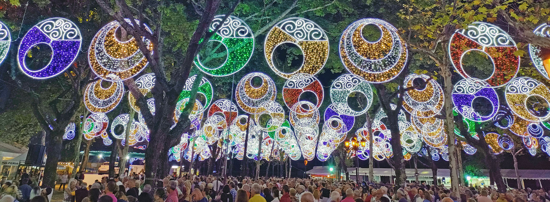 Electromi�o Alumbrado para fiestas